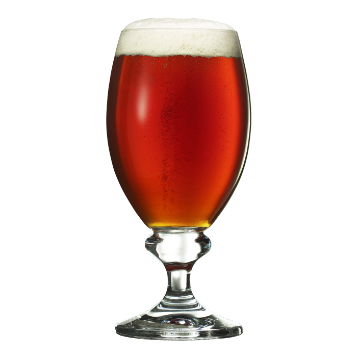 Bird Of Prey Amber Lager
