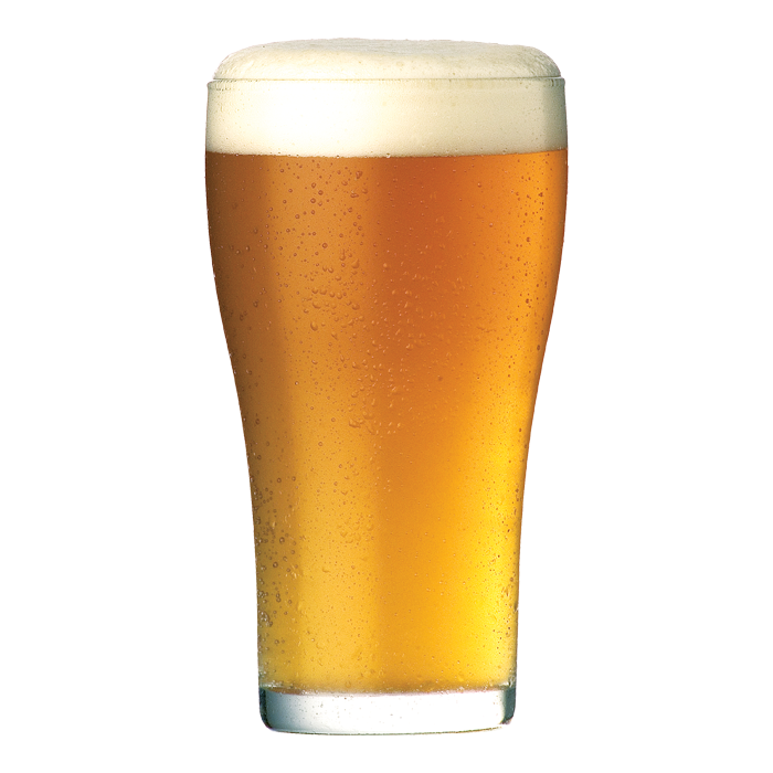 Double Trouble Ale