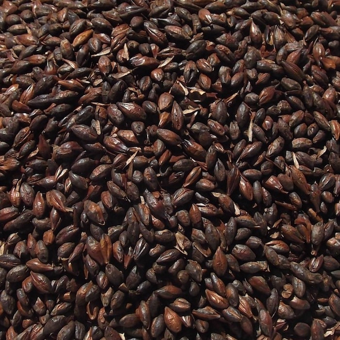 Helmalt Roasted Barley (min 900 EBC) 1kg