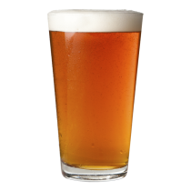 Bridge The Gap IPA