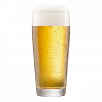 Czech Mate Pilsner