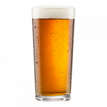 Hop Art IPA