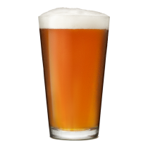 Lookout IPA