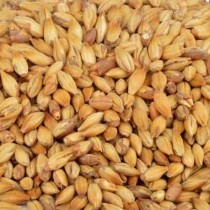 Helmalt CaraHell (20-30 EBC) 1kg