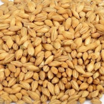 Helmalt CaraPils (2,5-6,5 EBC) 1kg